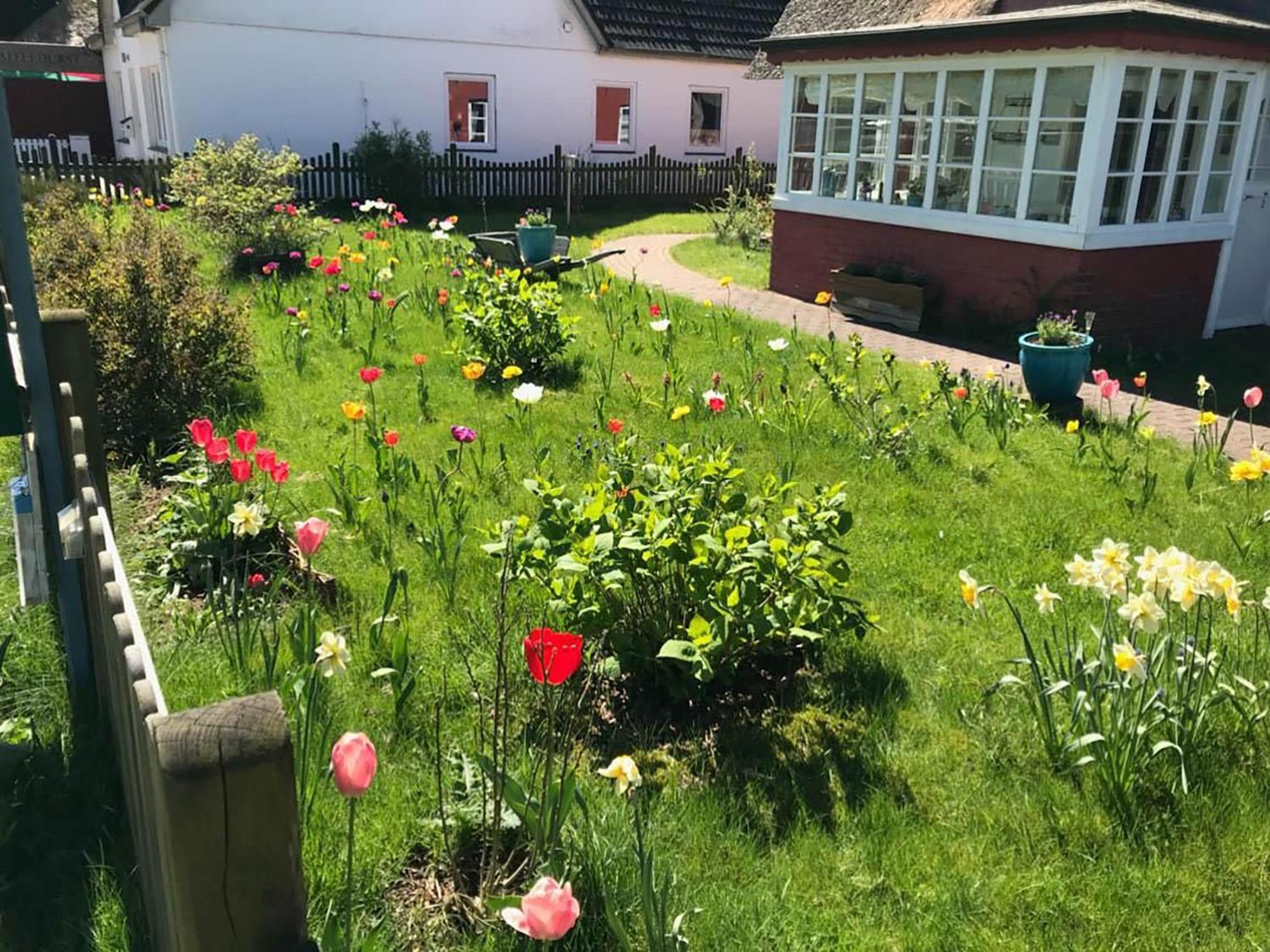 Hues Sanskiin Ferienwohnung *Aawerkant* Suddorf Exteriör bild