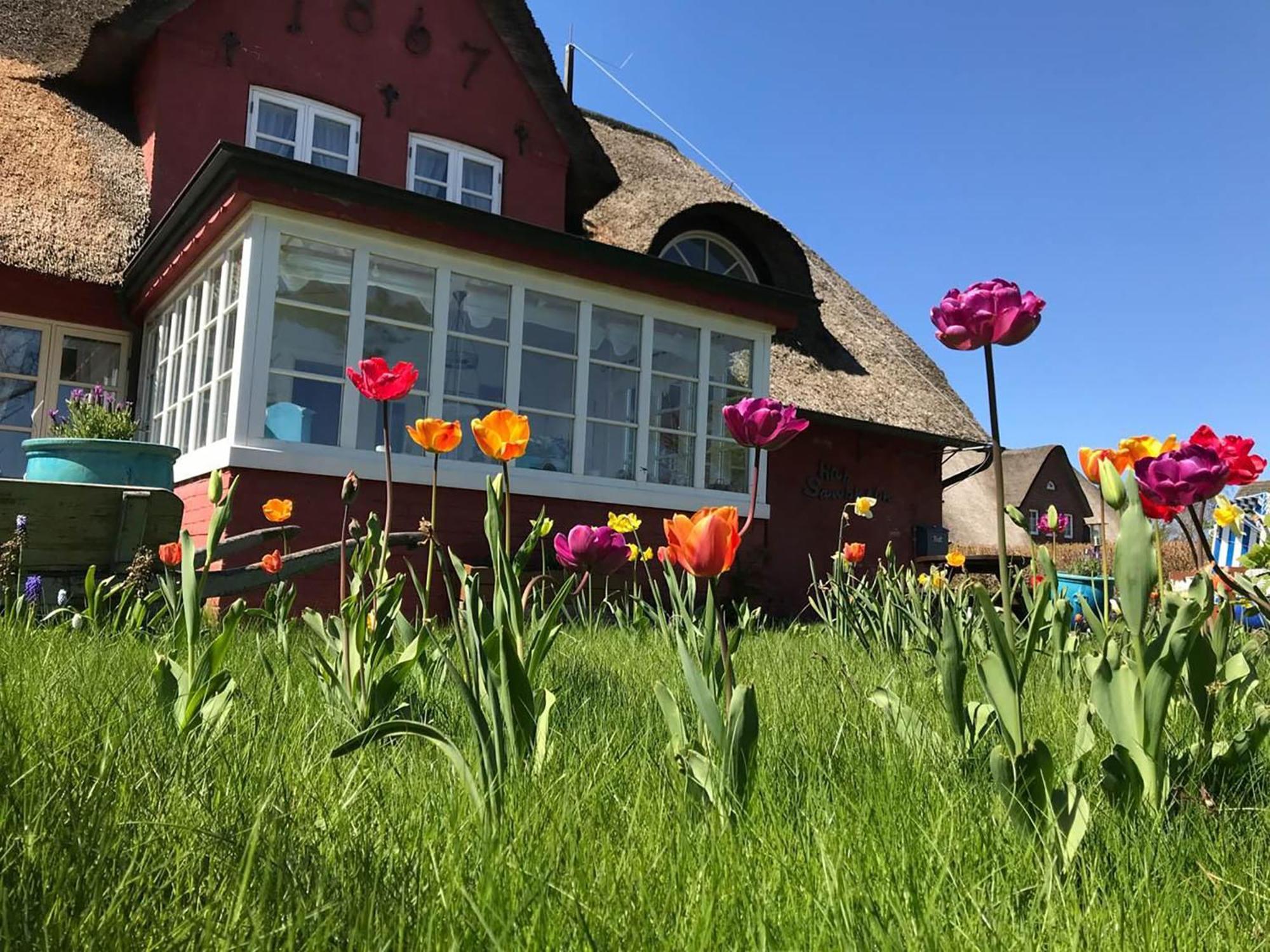 Hues Sanskiin Ferienwohnung *Aawerkant* Suddorf Exteriör bild